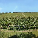 Vinny Sklipek Blatnice Апартаменты *